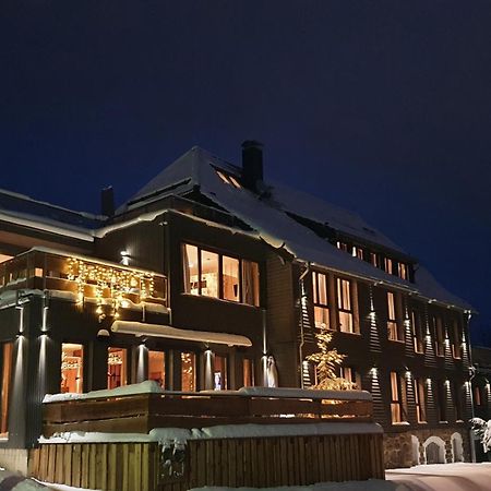 Wlodgeone Braunlage Bagian luar foto